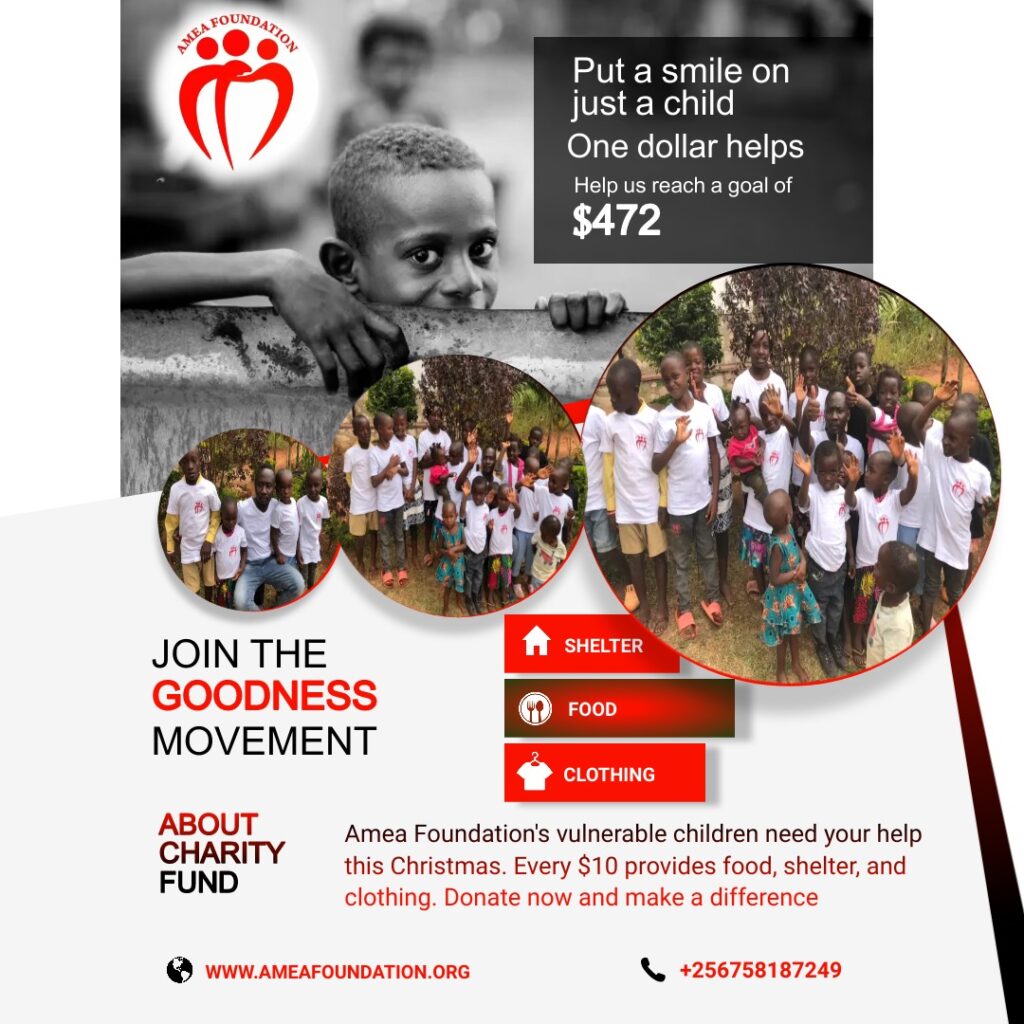 Amea Foundation Kids